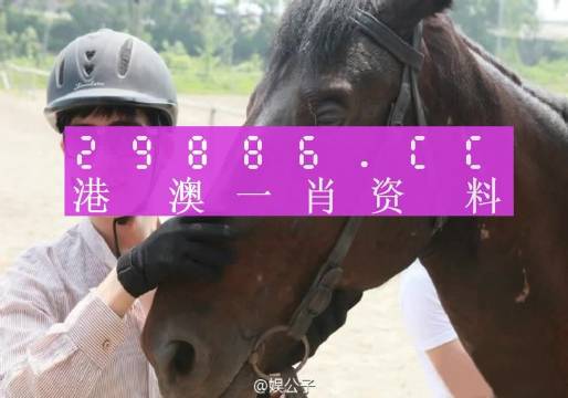 澳门和香港一肖一码一必中一肖同舟前进|词语释义解释落实